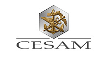 cesam_small