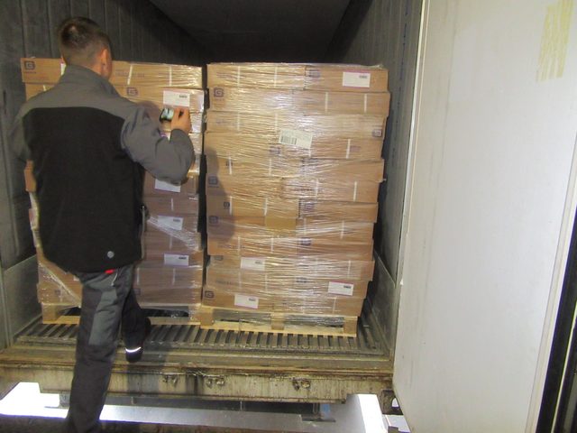 Surveyor recording the condition of palletised frozen cargo inside a reefer container